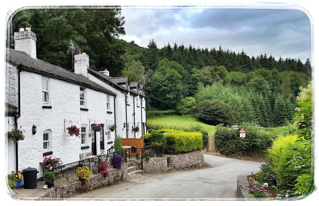River Cottage St Asaph Eksteriør bilde