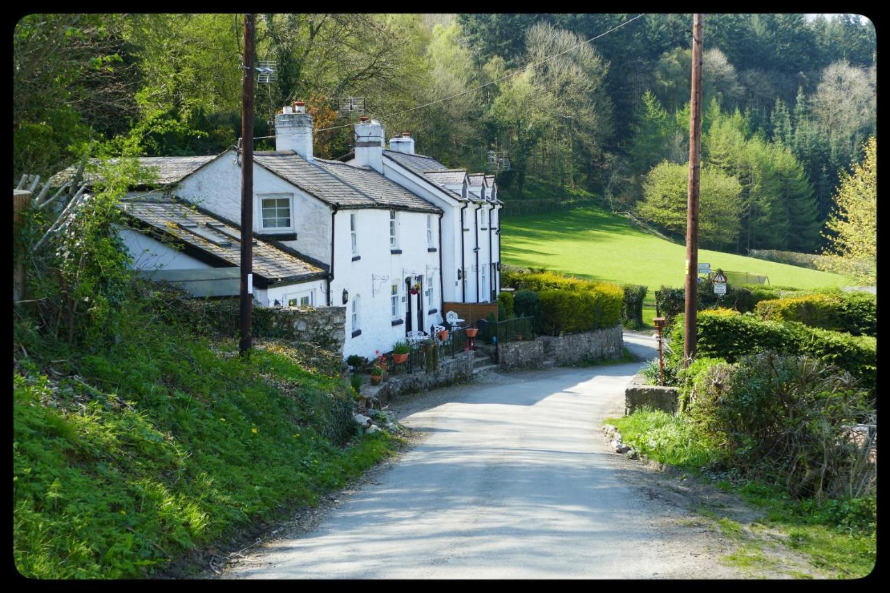 River Cottage St Asaph Eksteriør bilde